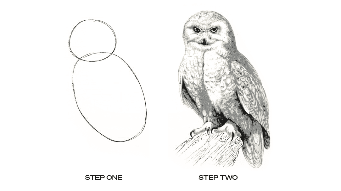 How to draw an owl